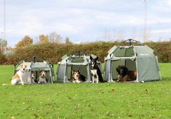 Smarthouse pet tent - hetkessä koottava koiran kevythäkki reissuun tai kotiin! mukana kätevä kuljetuskassi. 443