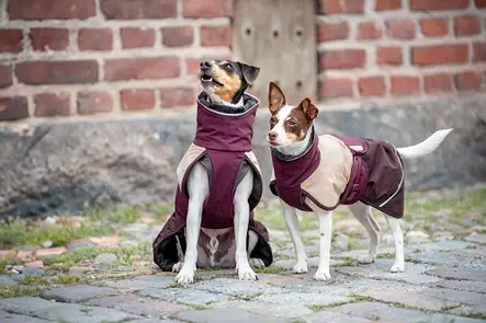 ArcticPomppa Maroon koiran toppatakki - Takit ja manttelit - 80362 - 2