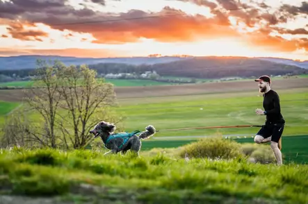 CaniX Belt 2.0 -juoksuvy=C3=B6, joka pit=C3=A4=C3=A4 koiran vetovoiman=
tasaisesti lanteilla ja sopii intensiivisiin juoksuharjoituksiin. - Veto- ja valjakkourheilu - 28933 - 2