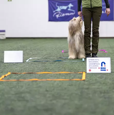 Rally-tokon suoristusalue 1 x 1 m - Toko - 20517 - 1